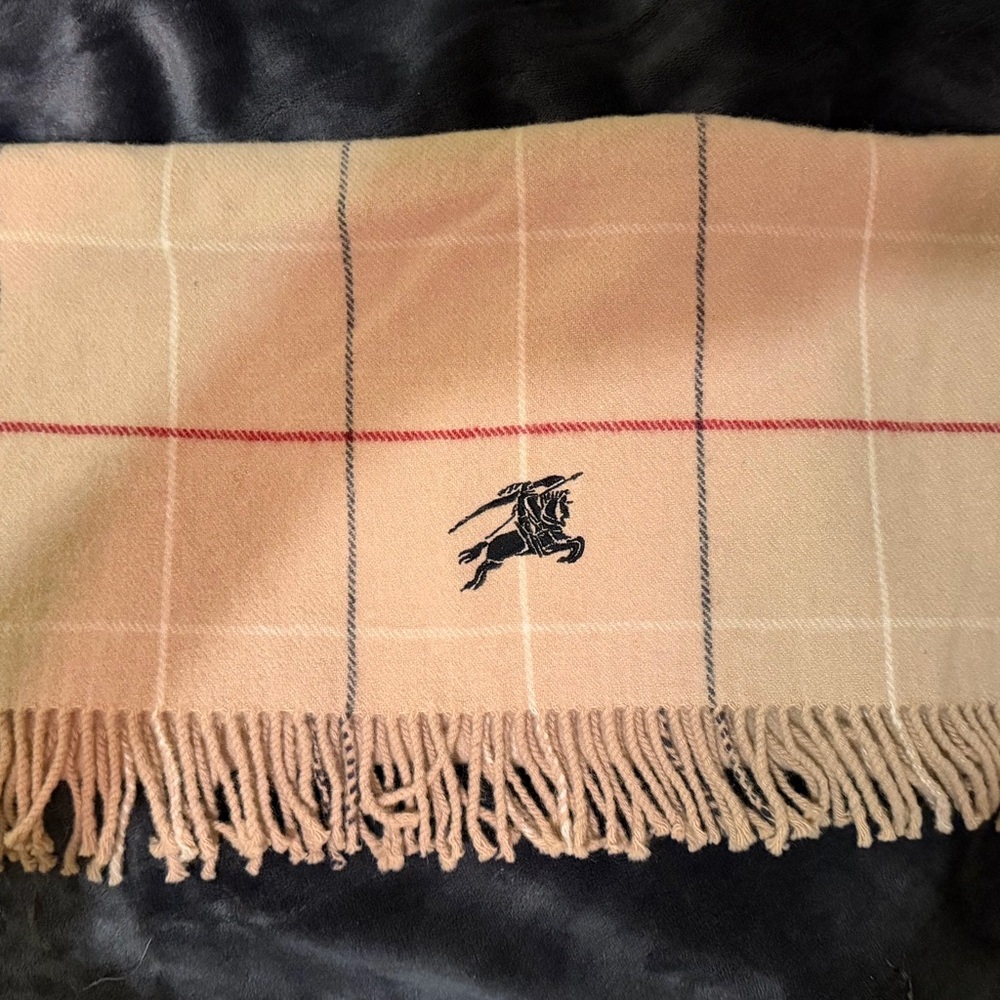 Burberry Scarf
